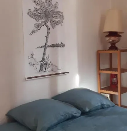 D'artiste Comprenant 2 Avec Salles De Bain Privatives Аркашон