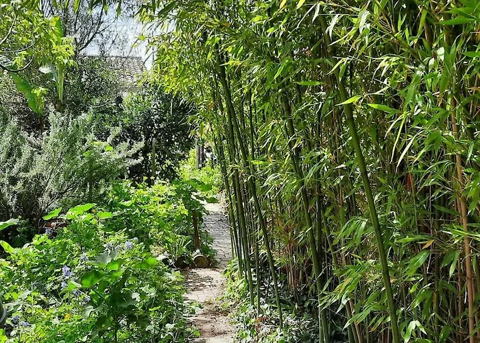 D'artiste Avec 2 Et 2 Salles De Bain Privees *